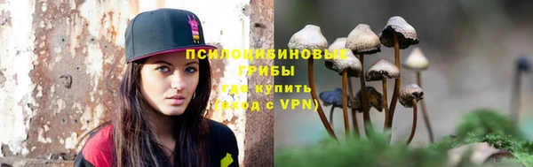 spice Ладушкин
