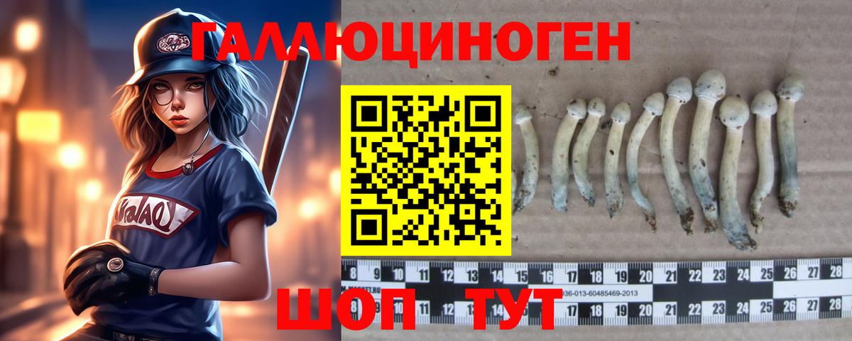 Галлюциногенные грибы GOLDEN TEACHER Ангарск